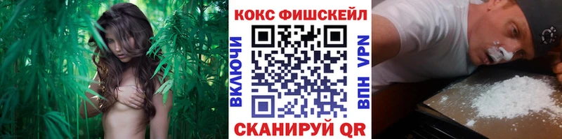 Купить закладки  Печоры  Cocaine 97% 