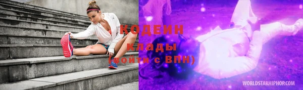 прущие грибы Липки