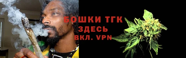 прущие грибы Липки
