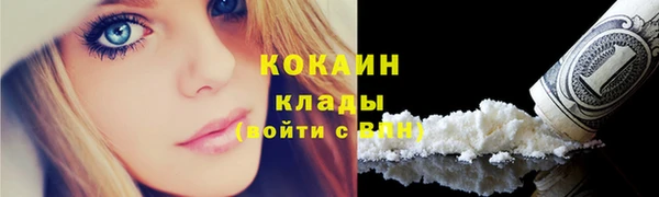 прущие грибы Липки