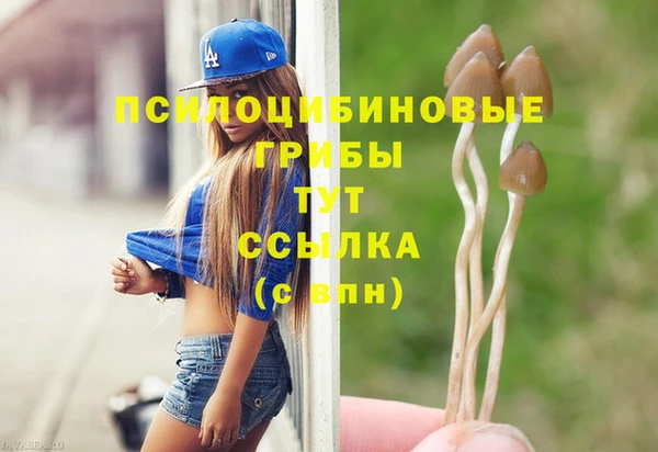 прущие грибы Липки