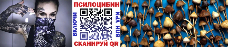 Галлюциногенные грибы Psilocybine cubensis  Купить где  Печоры 